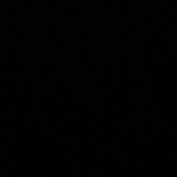 Meet your Posher, Ronni - Picture 1 of 1